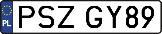 PSZGY89