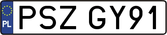 PSZGY91
