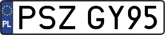 PSZGY95