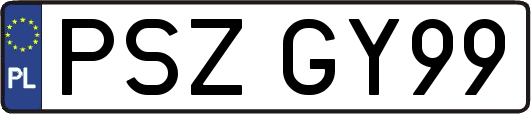 PSZGY99