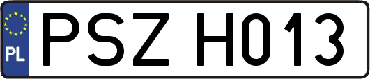 PSZH013