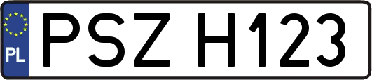 PSZH123