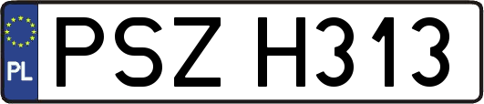 PSZH313
