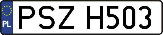 PSZH503