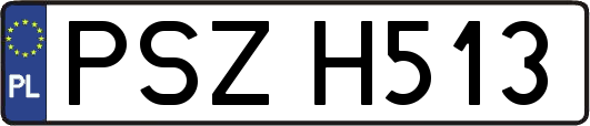 PSZH513