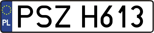 PSZH613