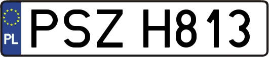 PSZH813