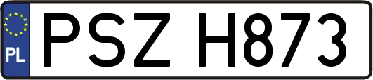 PSZH873