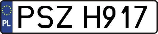 PSZH917