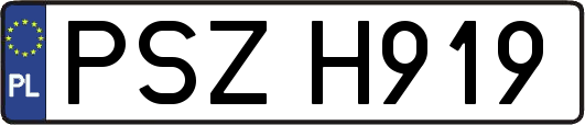 PSZH919
