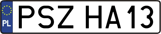 PSZHA13