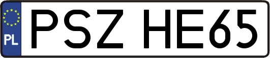 PSZHE65