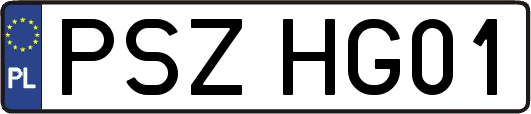 PSZHG01