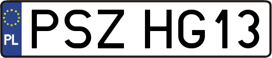 PSZHG13