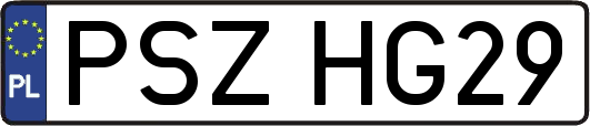 PSZHG29