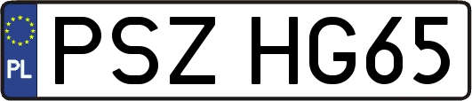 PSZHG65