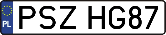 PSZHG87