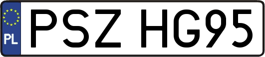 PSZHG95