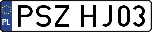PSZHJ03
