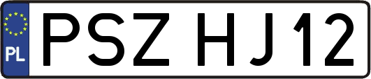 PSZHJ12
