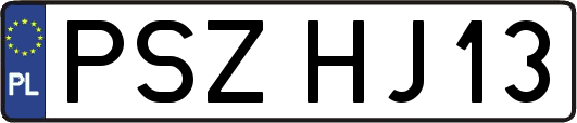 PSZHJ13