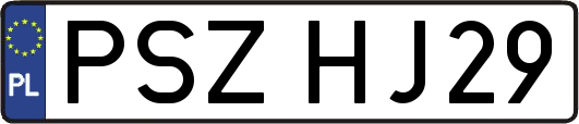 PSZHJ29