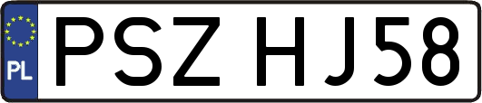PSZHJ58