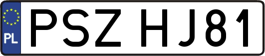 PSZHJ81