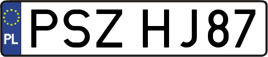 PSZHJ87