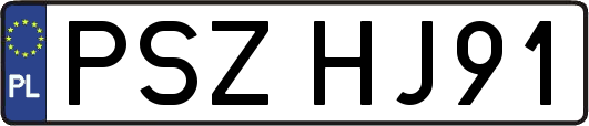 PSZHJ91