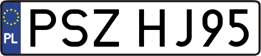 PSZHJ95