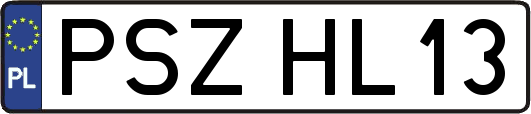 PSZHL13