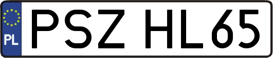 PSZHL65