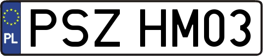 PSZHM03
