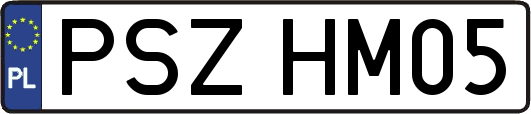 PSZHM05