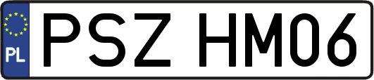 PSZHM06