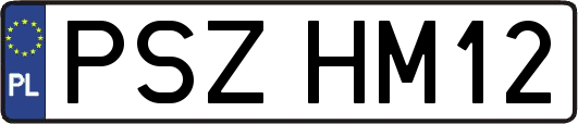 PSZHM12