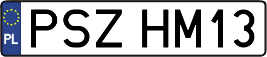 PSZHM13