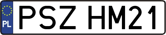 PSZHM21