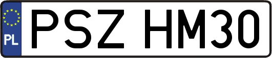 PSZHM30