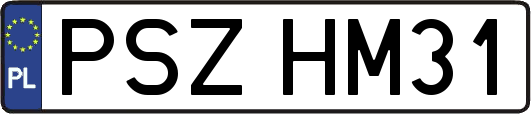 PSZHM31