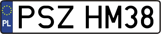 PSZHM38