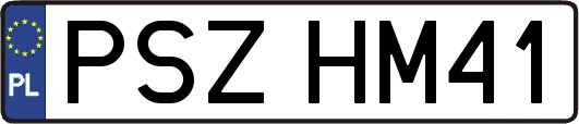 PSZHM41