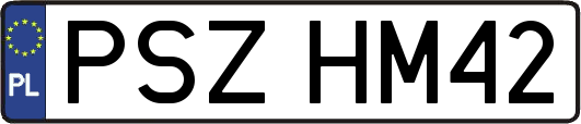 PSZHM42