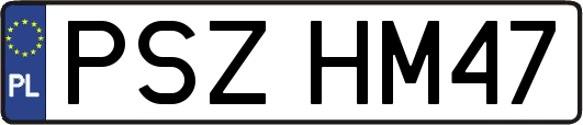 PSZHM47