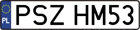 PSZHM53
