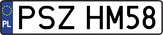 PSZHM58