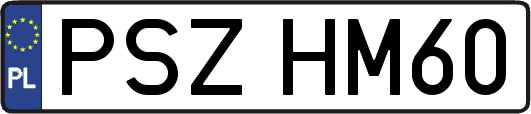 PSZHM60