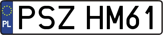 PSZHM61