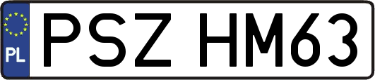 PSZHM63